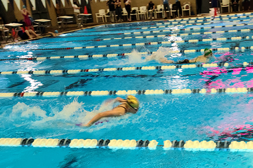 Swim Meet Photo