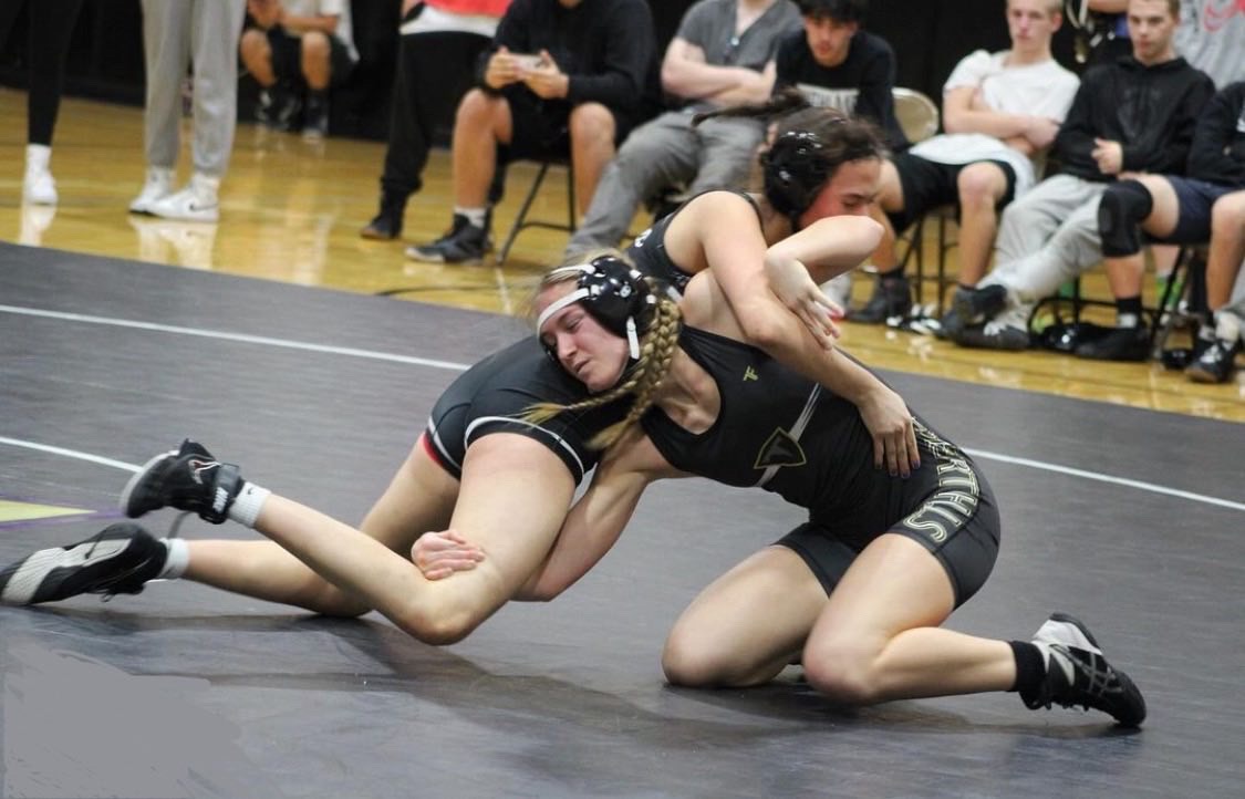 DHHS Girls Wrestling Picture