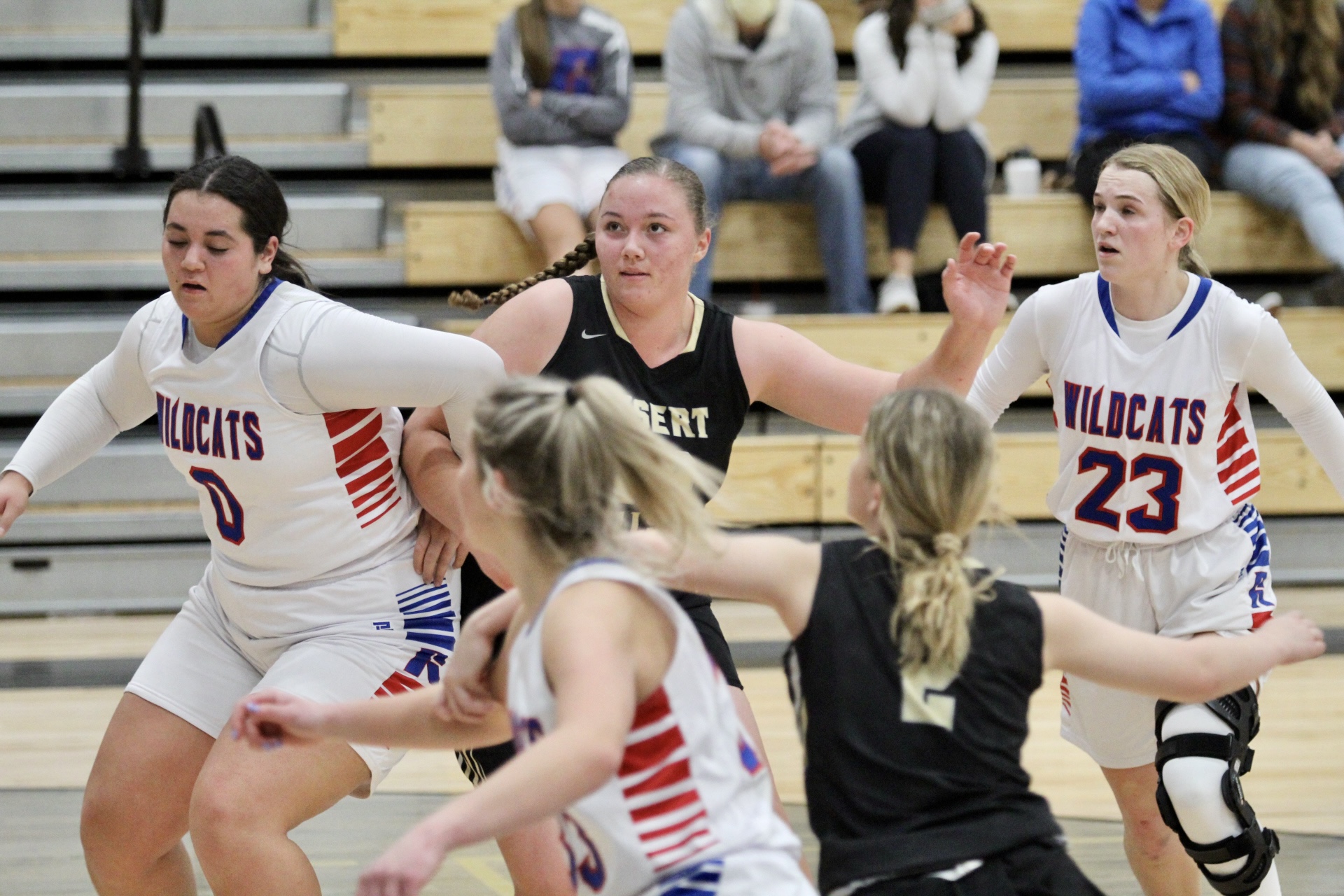 Girls Basketball Photo