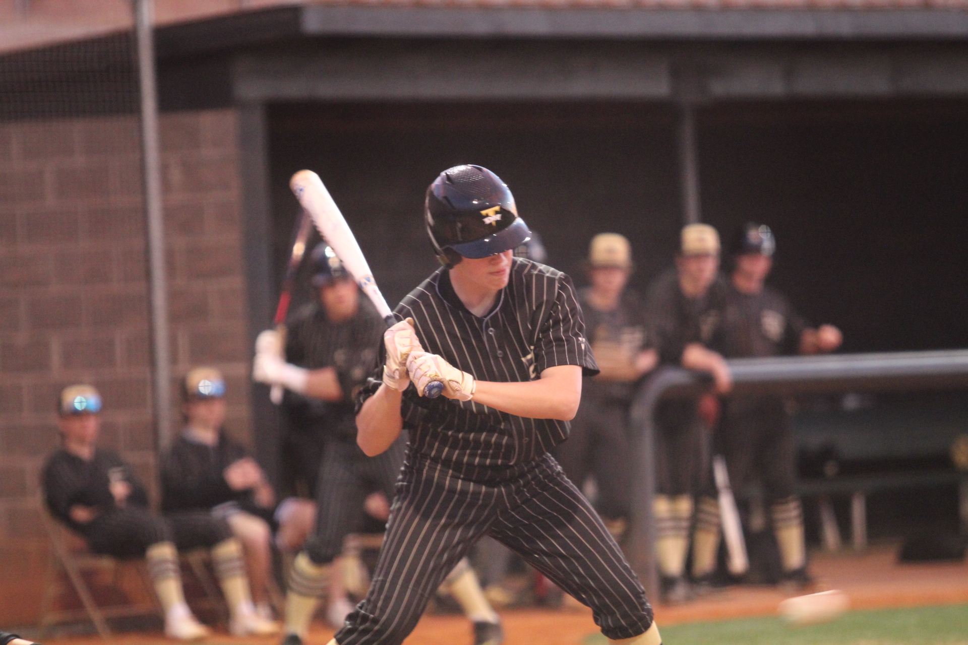 Baseball Player holding a bat